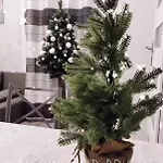 Pod Katalpami Nyaraló Mikołajki