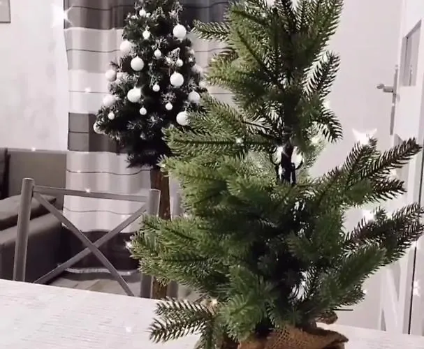 Pod Katalpami Дом отдыха Миколайки