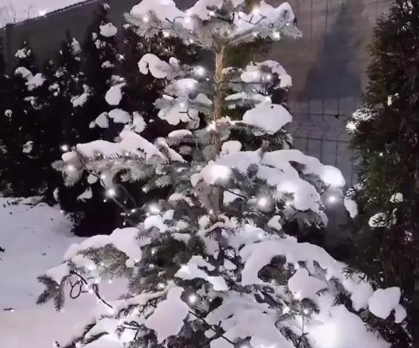 Pod Katalpami Дом отдыха